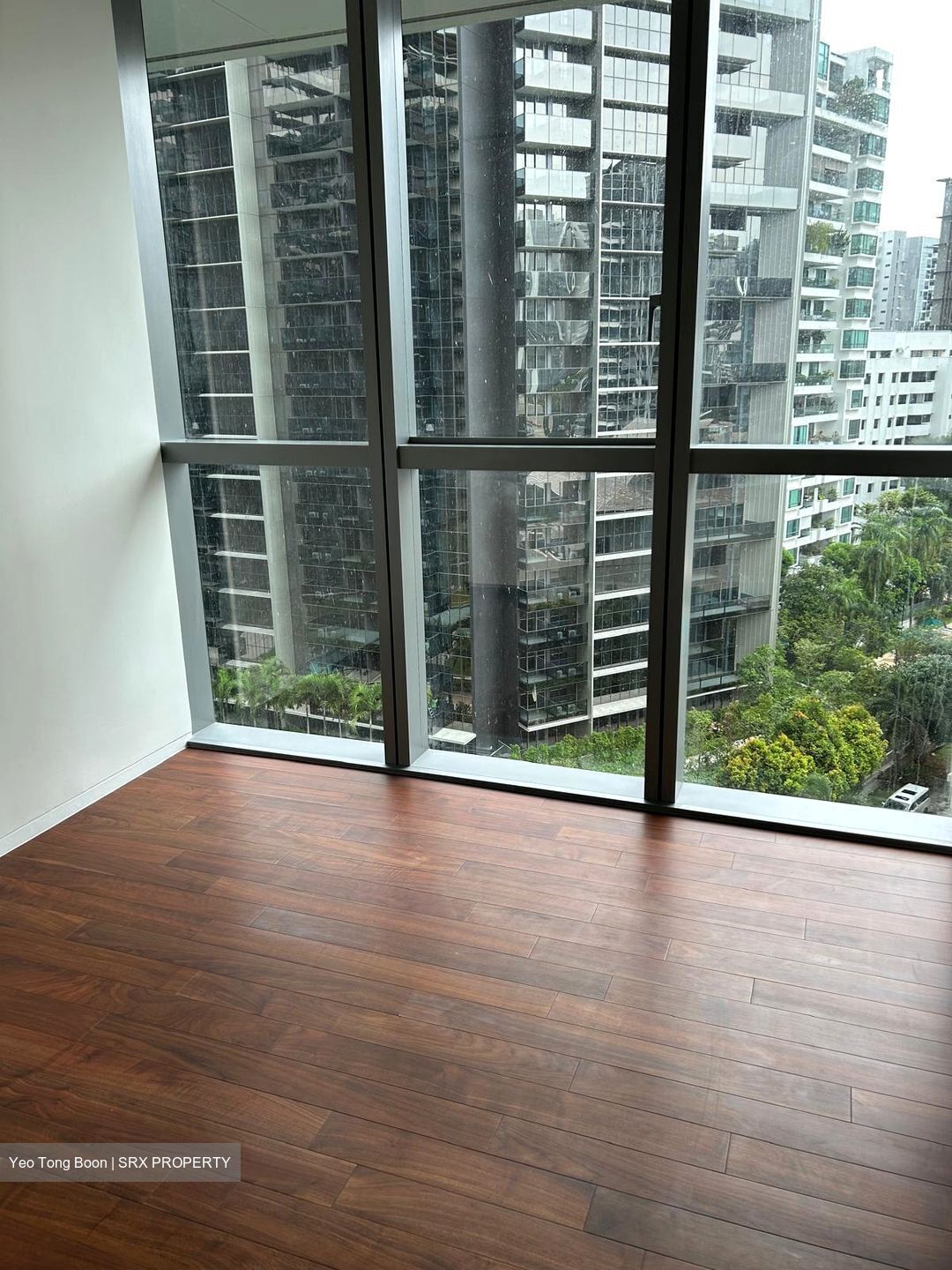 Amber Park (D15), Condominium #618861991